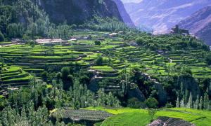 asia.1161454140.10  terraced fields of karimabad in hunza