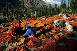 dry-fruits