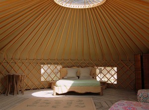 giantyurt