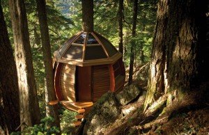 tree-houses-8